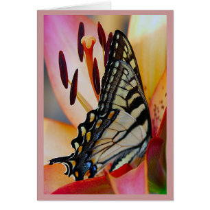 Hübsche Blumenblätter