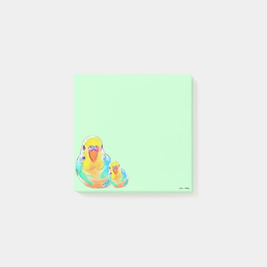Hübsche Budgerigar-Papageienvögel grün niedlich Post-it Klebezettel (Vorderseite)