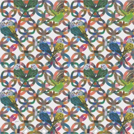 Hübsche Budgien. Aufkleber (Vorderseite)