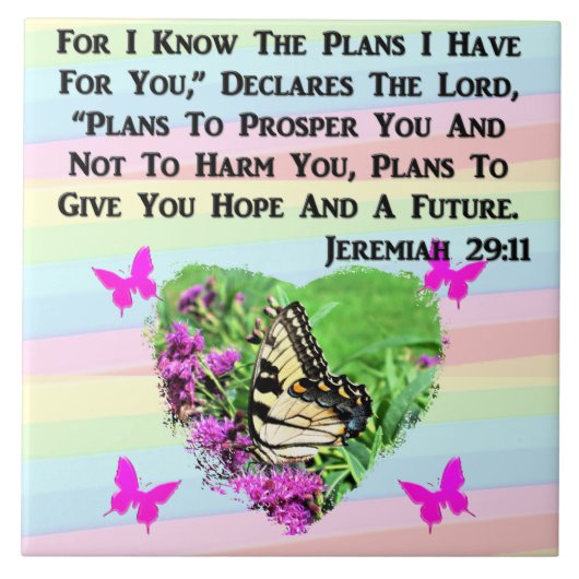 HÜBSCHE BUTTERFLY JEREMIAH 29:11 FLIESE (Vorderseite)