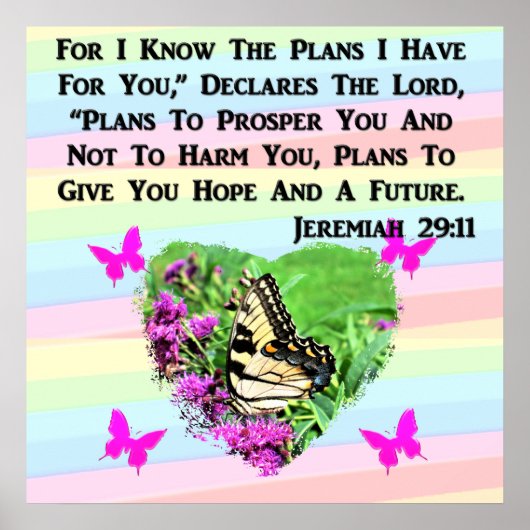 HÜBSCHE BUTTERFLY JEREMIAH 29:11 POSTER (Vorne)