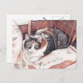 Hübsche Calico Cat Art Postkarte (Vorne/Hinten)