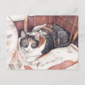 Hübsche Calico Cat Art Postkarte (Vorderseite)
