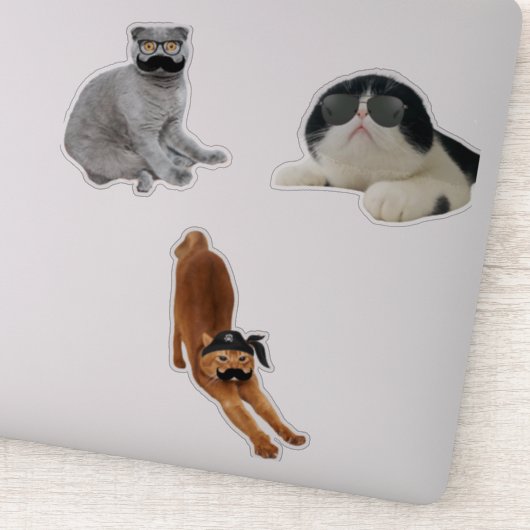 Hübsche Cat Memes Aufkleber (Detail)