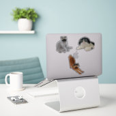 Hübsche Cat Memes Aufkleber (Laptop auf Schreibtisch)