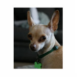 Hübsche Chihuahua Freistehende Fotoskulptur<br><div class="desc">Kitz-Chihuahua-Bild</div>