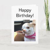 Hübsche Chihuahua-Hundemee Karte (Vorderseite)