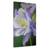 Hübsche Columbine-Blume Klemmbrett (Rechts)