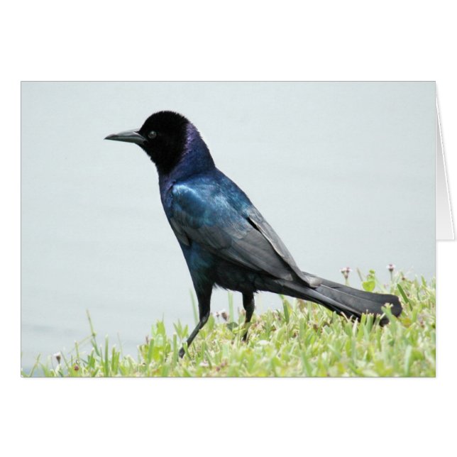 Hübsche Crosskarte (Vorderseite (Horizontal))