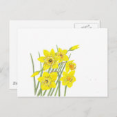 Hübsche Daffodien Postkarte (Vorne/Hinten)