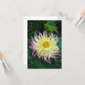 Hübsche Dahlia-Blume Karte (Vorderseite/Rückseite Beispiel)