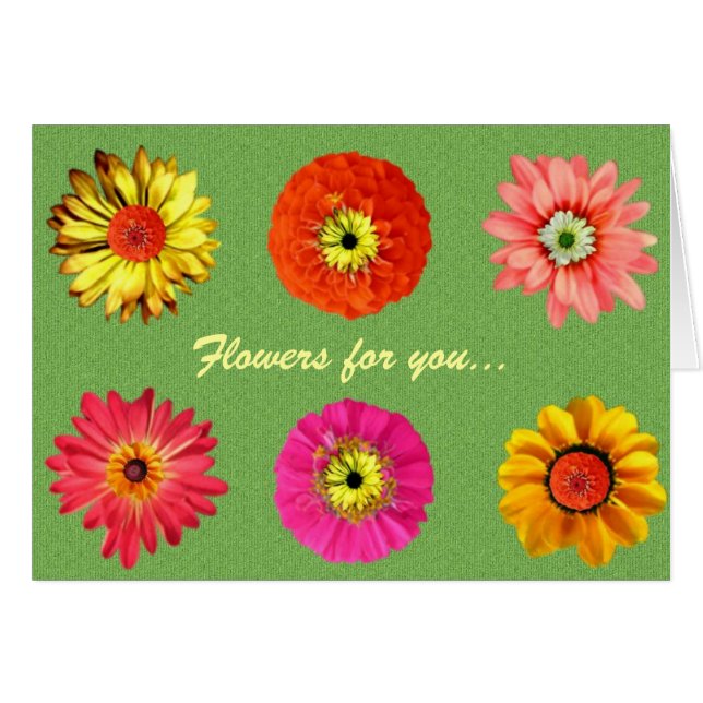 Hübsche Daisies (Vorderseite (Horizontal))