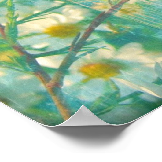 Hübsche Daisies Poster (Ecke)