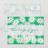 Hübsche Daisies Postkarte (Vorne/Hinten)