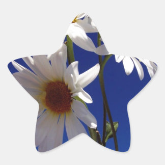 Hübsche Daisies Stern-Aufkleber