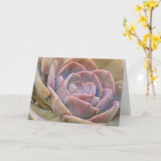 Hübsche Echeveria Cactus Succulent Art Note Card Karte (Gelbe Blume)