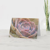 Hübsche Echeveria Cactus Succulent Art Note Card Karte (Vorderseite)