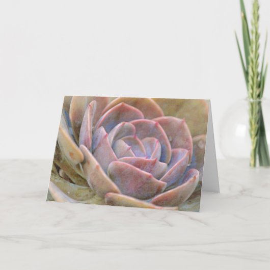Hübsche Echeveria Cactus Succulent Art Note Card Karte (Vorderseite)