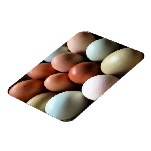 Hübsche Eier aus der Hühnerhaltung Magnet (Linke Seite)