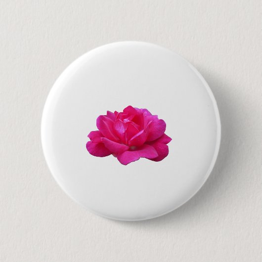 hübsche einzelne rosa Rosenblüte Button (Vorderseite)