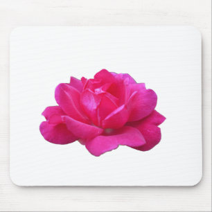 hübsche einzelne rosa Rosenblüte Mousepad