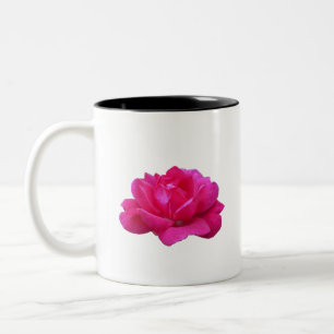 hübsche einzelne rosa Rosenblüte Zweifarbige Tasse