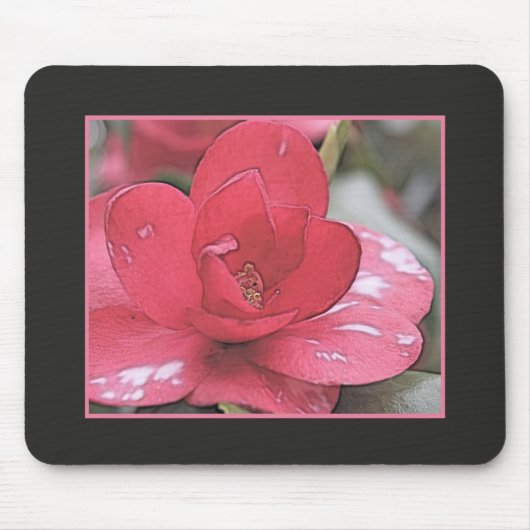 Hübsche, elegante rosa Kamelie-Blume Mousepad (Vorne)
