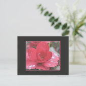 Hübsche, elegante rosa Kamelie-Blume Postkarte (Stehend Vorderseite)