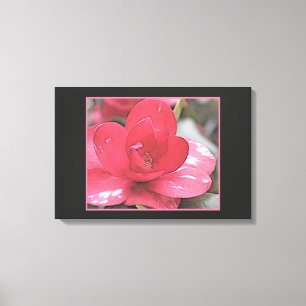 Hübsche, elegante rosa Kamelien-Blume. Leinwanddruck
