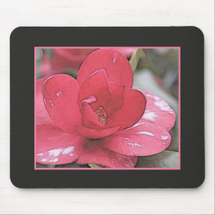 Hübsche, elegante rosa Kamelienblüte Mousepad