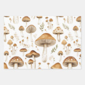 HÜBSCHE FALL BROWN MUSHZIMMER UND BLUME GESCHENKPAPIER SET (Vorderseite)