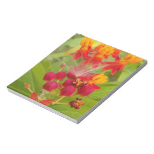 Hübsche farbenfrohe Blumen mit Milkweed Kunstprint Notizblock