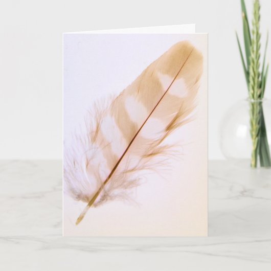 Hübsche Feather Nature wird gut Karte (Vorderseite)