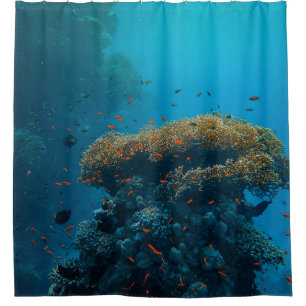 Hübsche Fische und Riffe Duschvorhang