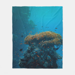 Hübsche Fische und Riffe Fleecedecke
