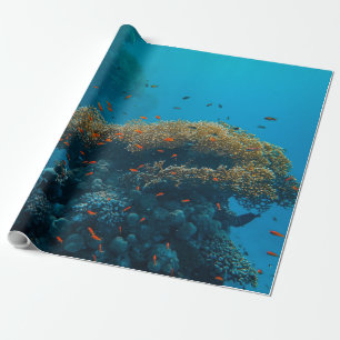 Hübsche Fische und Riffe Geschenkpapier
