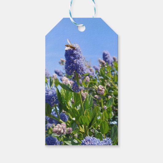 Hübsche Flieder-Geschenkanhänger Geschenkanhänger (Vorderseite)