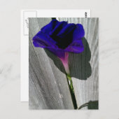 Hübsche florale Postkarte (Vorne/Hinten)