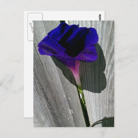 Hübsche florale Postkarte (Vorne/Hinten)