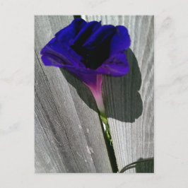 Hübsche florale Postkarte