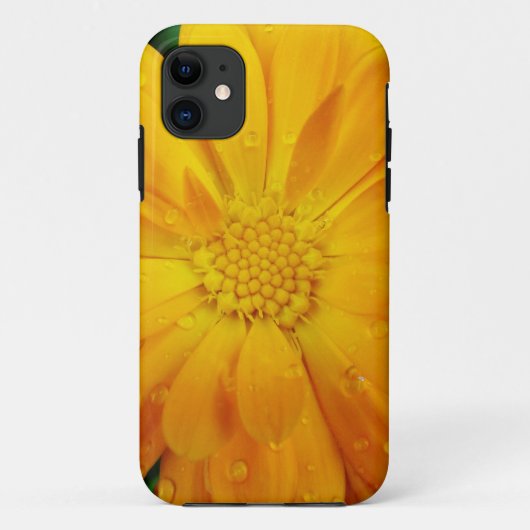 hübsche, frisch gelbe Blume Case-Mate iPhone Hülle (Rückseite)