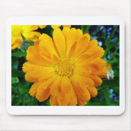 hübsche, frisch gelbe Blume Mousepad