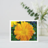 hübsche, frisch gelbe Blume Postkarte (Stehend Vorderseite)