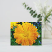 hübsche, frisch gelbe Blume Postkarte (Stehend Vorderseite)