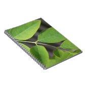 Hübsche, frisch grüne Sommer-Asche Blätter. Notizblock (Rechte Seite)