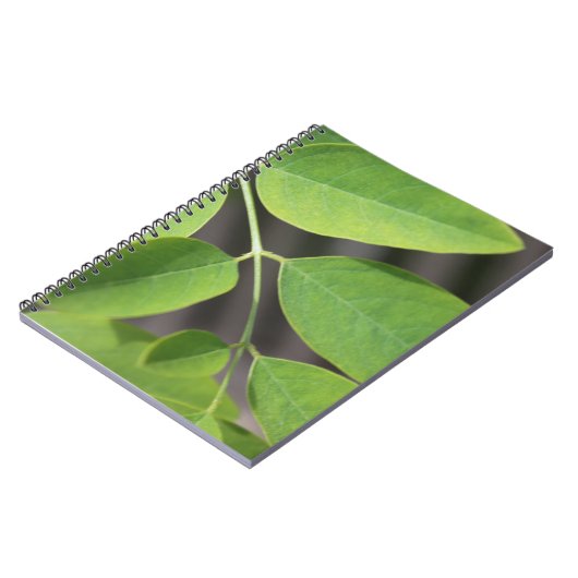 Hübsche, frisch grüne Sommer-Asche Blätter. Notizblock (Linke Seite)