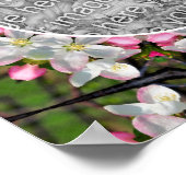 Hübsche Frühjahrsblüten schaffen Ihr eigenes Foto Poster (Ecke)