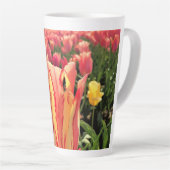 Hübsche Frühlings-Tulpe, Oregon Milchtasse (Rechte Ecke)