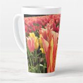 Hübsche Frühlings-Tulpe, Oregon Milchtasse (Linke Ecke)