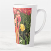 Hübsche Frühlings-Tulpe, Oregon Milchtasse (Rechts)